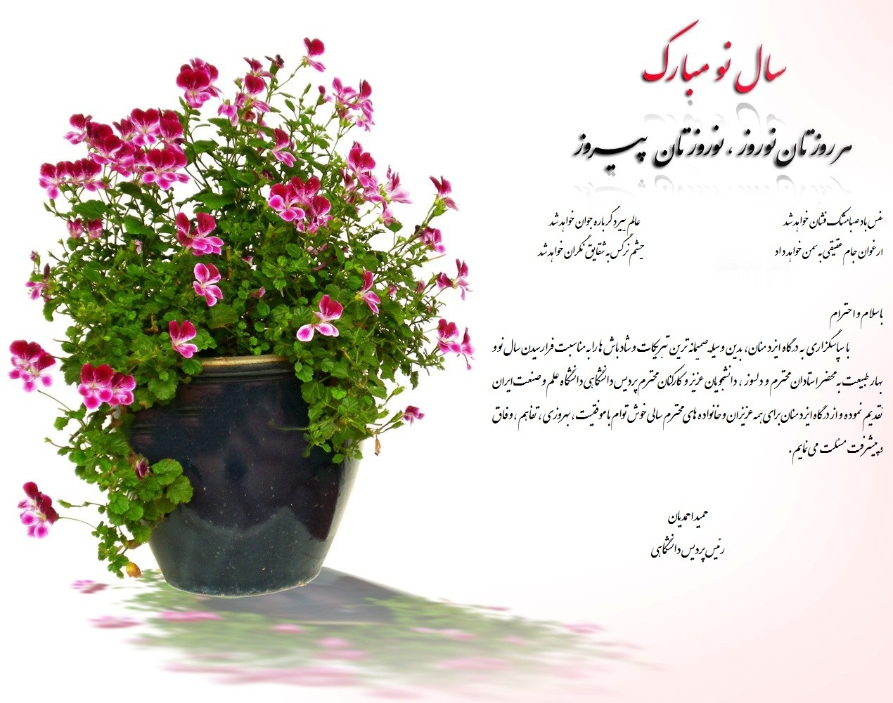 AWT IMAGE